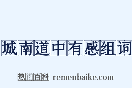 城南道中有感组词是什么意思的图片
